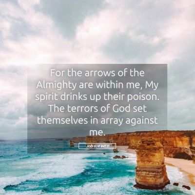 Picture 05 - Job 6:4 WEB - For the arrows of the Almighty are within me, My - Bible Verse Picture