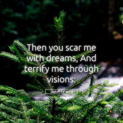 Picture 05 - Job 7:14 WEB - Then you scar me with dreams, And terrify me - Bible Verse Picture