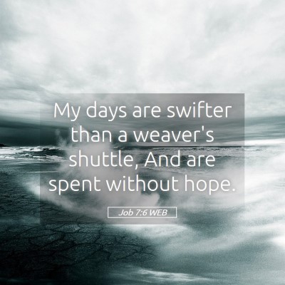 Picture 05 - Job 7:6 WEB - My days are swifter than a weaver's shuttle, And - Bible Verse Picture