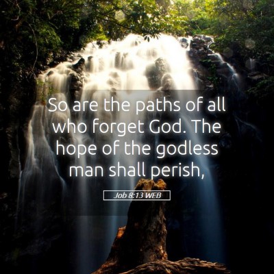 Picture 05 - Job 8:13 WEB - So are the paths of all who forget God. The hope - Bible Verse Picture