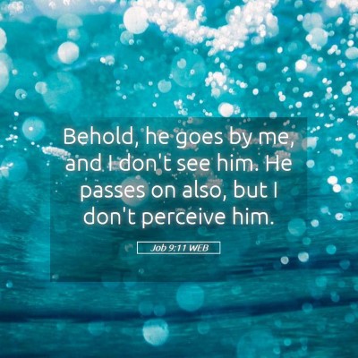 Picture 05 - Job 9:11 WEB - Behold, he goes by me, and I don't see him. He - Bible Verse Picture