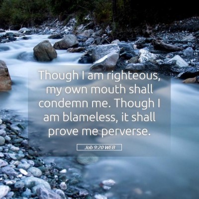 Picture 05 - Job 9:20 WEB - Though I am righteous, my own mouth shall condemn - Bible Verse Picture