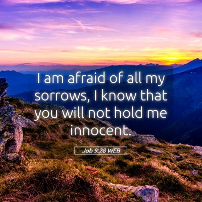Picture 05 - Job 9:28 WEB - I am afraid of all my sorrows, I know that you - Bible Verse Picture