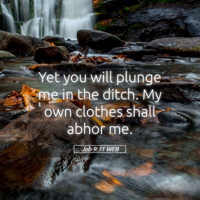 Picture 05 - Job 9:31 WEB - Yet you will plunge me in the ditch. My own - Bible Verse Picture