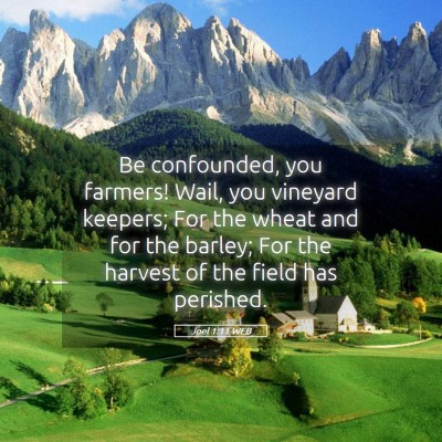 Picture 05 - Joel 1:11 WEB - Be confounded, you farmers! Wail, you vineyard - Bible Verse Picture