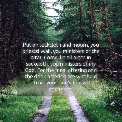 Picture 05 - Joel 1:13 WEB - Put on sackcloth and mourn, you priests! Wail, - Bible Verse Picture
