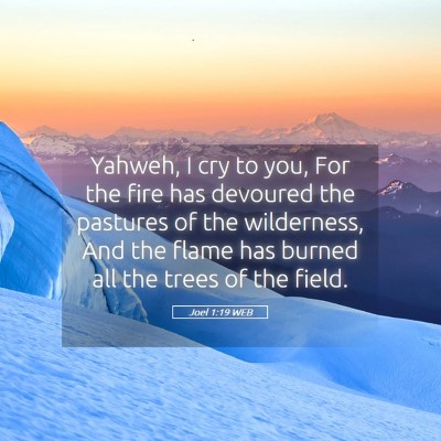 Picture 05 - Joel 1:19 WEB - Yahweh, I cry to you, For the fire has devoured - Bible Verse Picture