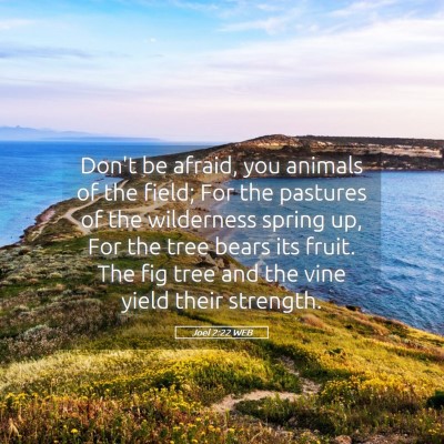 Picture 05 - Joel 2:22 WEB - Don't be afraid, you animals of the field; For - Bible Verse Picture