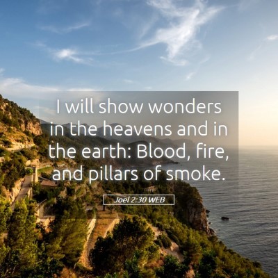 Picture 05 - Joel 2:30 WEB - I will show wonders in the heavens and in the - Bible Verse Picture