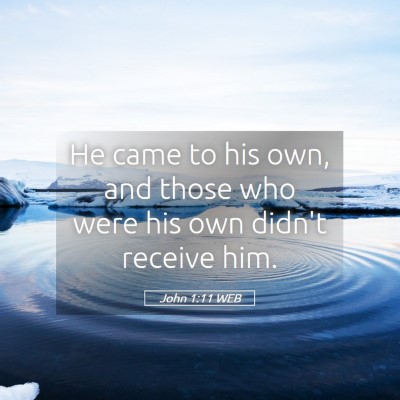 Picture 05 - John 1:11 WEB - He came to his own, and those who were his own - Bible Verse Picture