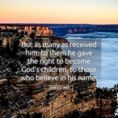 Picture 05 - John 1:12 WEB - But as many as received him, to them he gave the - Bible Verse Picture