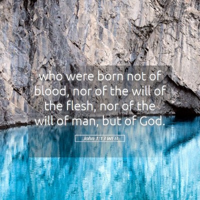 Picture 05 - John 1:13 WEB - who were born not of blood, nor of the will of - Bible Verse Picture