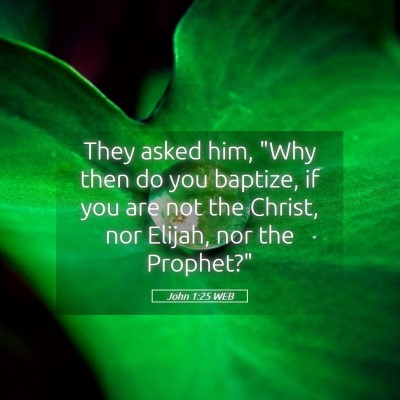 Picture 05 - John 1:25 WEB - They asked him, 