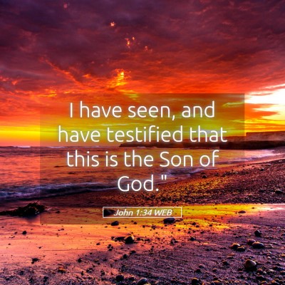 Picture 05 - John 1:34 WEB - I have seen, and have testified that this is the - Bible Verse Picture