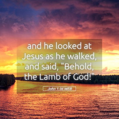 Picture 05 - John 1:36 WEB - and he looked at Jesus as he walked, and said, - Bible Verse Picture