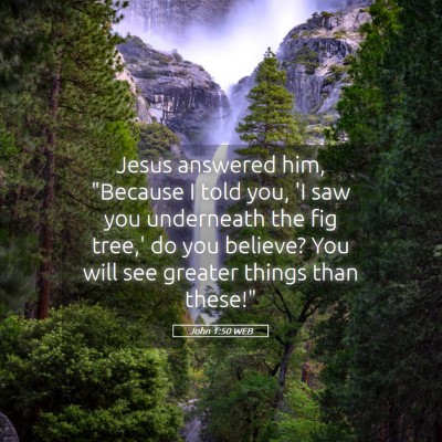 Picture 05 - John 1:50 WEB - Jesus answered him, 