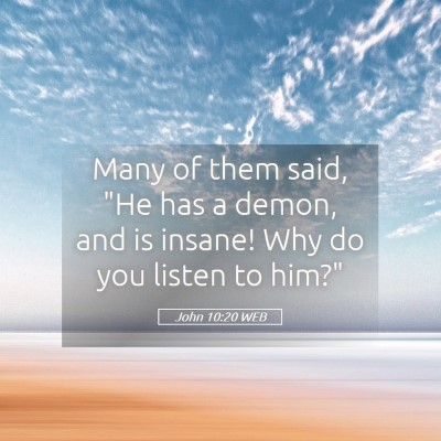 Picture 05 - John 10:20 WEB - Many of them said, 