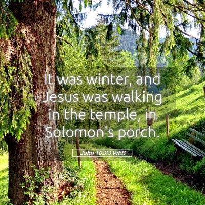 Picture 05 - John 10:23 WEB - It was winter, and Jesus was walking in the - Bible Verse Picture