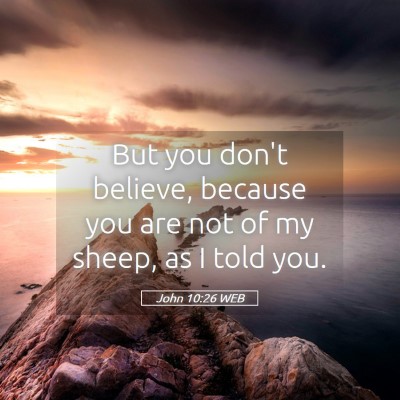 Picture 05 - John 10:26 WEB - But you don't believe, because you are not of my - Bible Verse Picture
