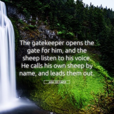 Picture 05 - John 10:3 WEB - The gatekeeper opens the gate for him, and the - Bible Verse Picture