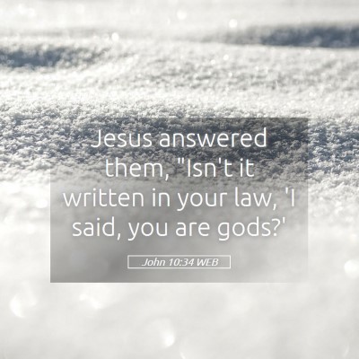 Picture 05 - John 10:34 WEB - Jesus answered them, 