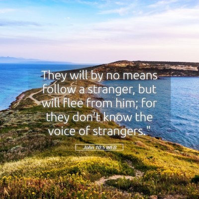 Picture 05 - John 10:5 WEB - They will by no means follow a stranger, but will - Bible Verse Picture