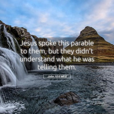 Picture 05 - John 10:6 WEB - Jesus spoke this parable to them, but they didn't - Bible Verse Picture