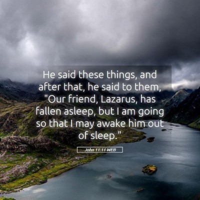 Picture 05 - John 11:11 WEB - He said these things, and after that, he said to - Bible Verse Picture
