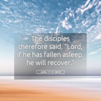 Picture 05 - John 11:12 WEB - The disciples therefore said, 