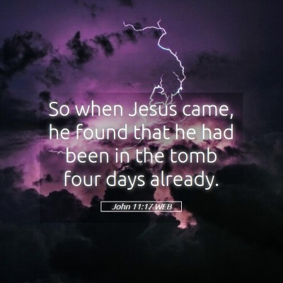 Picture 05 - John 11:17 WEB - So when Jesus came, he found that he had been in - Bible Verse Picture
