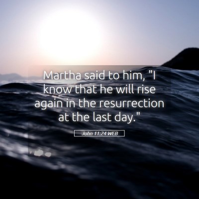 Picture 05 - John 11:24 WEB - Martha said to him, 