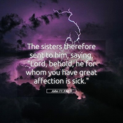 Picture 05 - John 11:3 WEB - The sisters therefore sent to him, saying, 