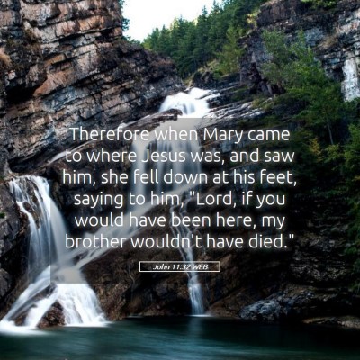 Picture 05 - John 11:32 WEB - Therefore when Mary came to where Jesus was, and - Bible Verse Picture