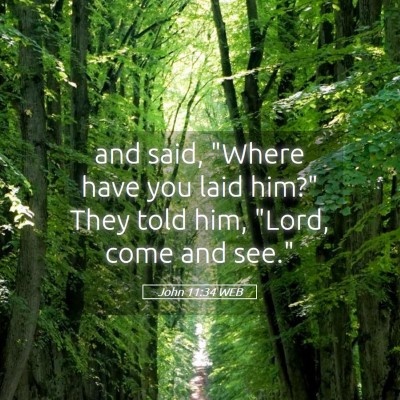 Picture 05 - John 11:34 WEB - and said, 