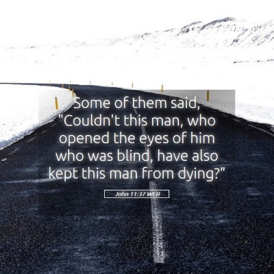 Picture 05 - John 11:37 WEB - Some of them said, 