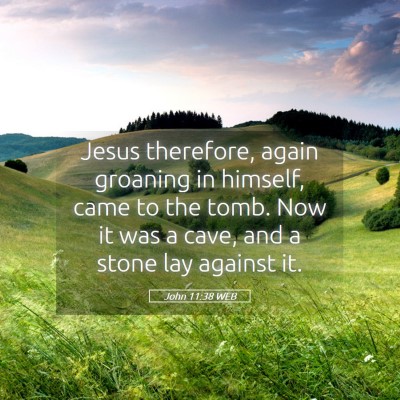 Picture 05 - John 11:38 WEB - Jesus therefore, again groaning in himself, came - Bible Verse Picture