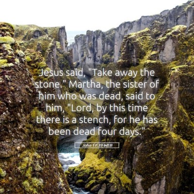 Picture 05 - John 11:39 WEB - Jesus said, 