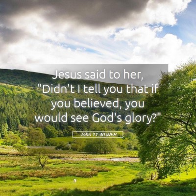 Picture 05 - John 11:40 WEB - Jesus said to her, 