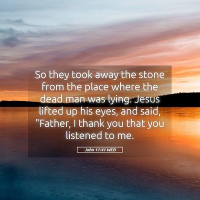 Picture 05 - John 11:41 WEB - So they took away the stone from the place where - Bible Verse Picture