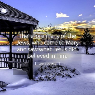 Picture 05 - John 11:45 WEB - Therefore many of the Jews, who came to Mary and - Bible Verse Picture