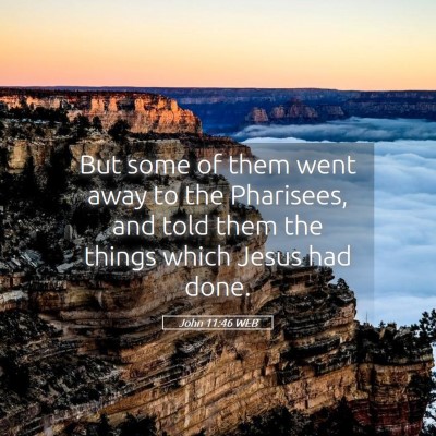 Picture 05 - John 11:46 WEB - But some of them went away to the Pharisees, and - Bible Verse Picture