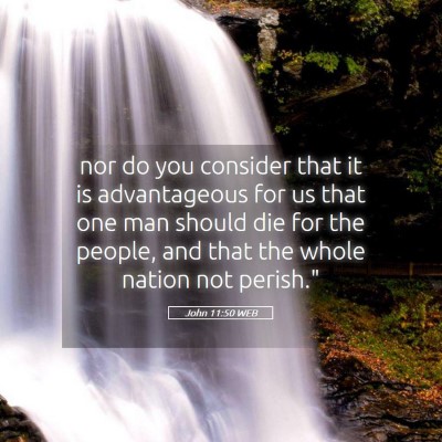 Picture 05 - John 11:50 WEB - nor do you consider that it is advantageous for - Bible Verse Picture