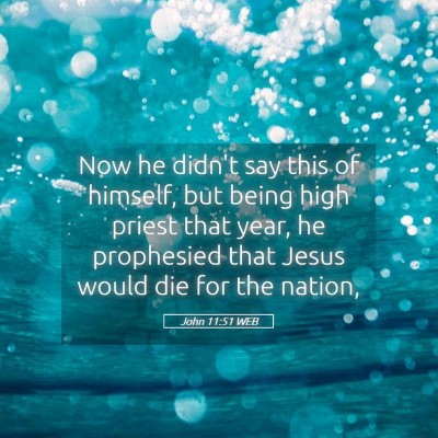 Picture 05 - John 11:51 WEB - Now he didn't say this of himself, but being high - Bible Verse Picture