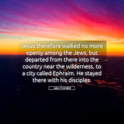 Picture 05 - John 11:54 WEB - Jesus therefore walked no more openly among the - Bible Verse Picture