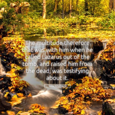 Picture 05 - John 12:17 WEB - The multitude therefore that was with him when he - Bible Verse Picture