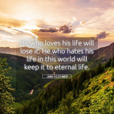 Picture 05 - John 12:25 WEB - He who loves his life will lose it. He who hates - Bible Verse Picture