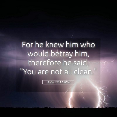 Picture 05 - John 13:11 WEB - For he knew him who would betray him, therefore - Bible Verse Picture