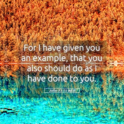 Picture 05 - John 13:15 WEB - For I have given you an example, that you also - Bible Verse Picture