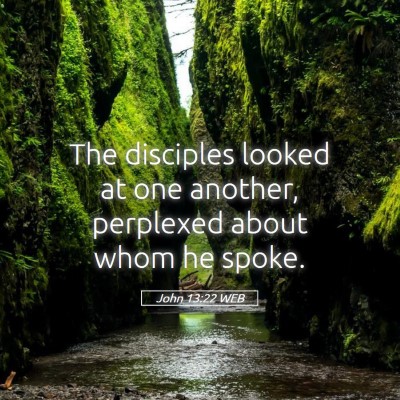 Picture 05 - John 13:22 WEB - The disciples looked at one another, perplexed - Bible Verse Picture