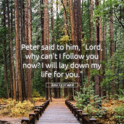 Picture 05 - John 13:37 WEB - Peter said to him, 